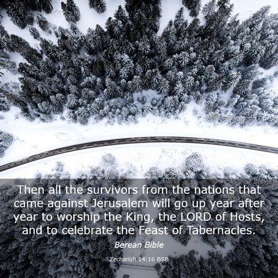Picture 03 - Zechariah 14:16 BSB - Then all the survivors from the nations that came - Bible Verse Picture
