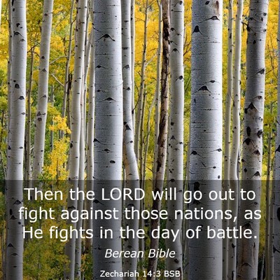 Picture 03 - Zechariah 14:3 BSB - Then the LORD will go out to fight against those - Bible Verse Picture