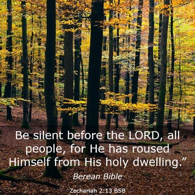 Picture 03 - Zechariah 2:13 BSB - Be silent before the LORD, all people, for He has - Bible Verse Picture