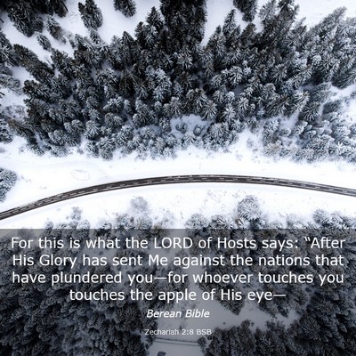 Picture 03 - Zechariah 2:8 BSB - For this is what the LORD of Hosts says: “After - Bible Verse Picture