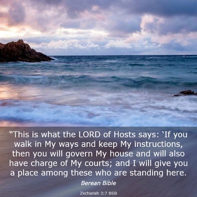 Picture 03 - Zechariah 3:7 BSB - “This is what the LORD of Hosts says: ‘If you - Bible Verse Picture