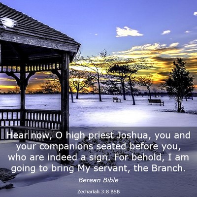 Picture 03 - Zechariah 3:8 BSB - Hear now, O high priest Joshua, you and your - Bible Verse Picture
