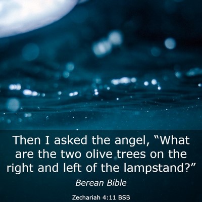 Picture 03 - Zechariah 4:11 BSB - Then I asked the angel, “What are the two olive - Bible Verse Picture