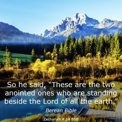 Picture 03 - Zechariah 4:14 BSB - So he said, “These are the two anointed ones - Bible Verse Picture