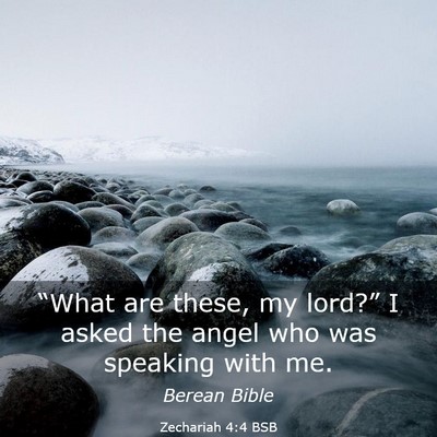 Picture 03 - Zechariah 4:4 BSB - “What are these, my lord?” I asked the angel - Bible Verse Picture