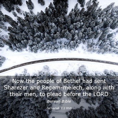 Picture 03 - Zechariah 7:2 BSB - Now the people of Bethel had sent Sharezer and - Bible Verse Picture
