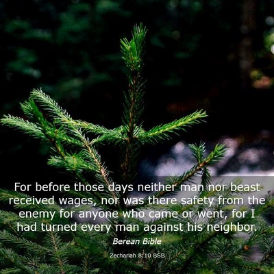 Picture 03 - Zechariah 8:10 BSB - For before those days neither man nor beast - Bible Verse Picture