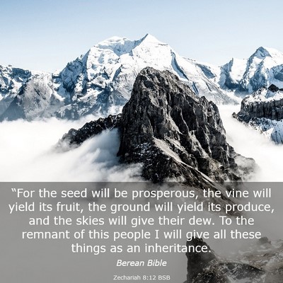 Picture 03 - Zechariah 8:12 BSB - “For the seed will be prosperous, the vine will - Bible Verse Picture