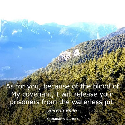 Picture 03 - Zechariah 9:11 BSB - As for you, because of the blood of My covenant, - Bible Verse Picture