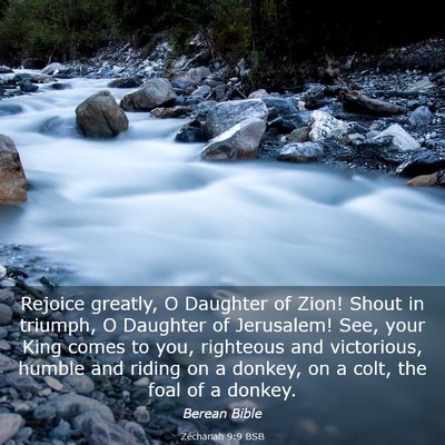 Picture 03 - Zechariah 9:9 BSB - Rejoice greatly, O Daughter of Zion! Shout in - Bible Verse Picture