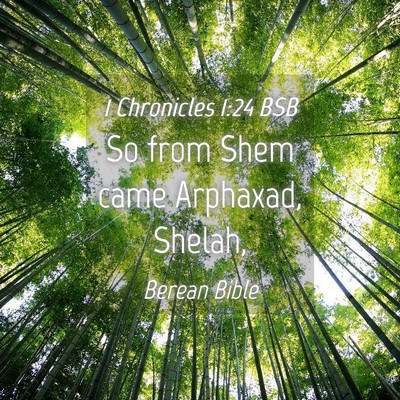Picture 04 - 1 Chronicles 1:24 BSB - So from Shem came Arphaxad, - Bible Verse Picture