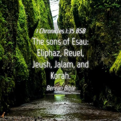 Picture 04 - 1 Chronicles 1:35 BSB - The sons of Esau: Eliphaz, Reuel, Jeush, Jalam, - Bible Verse Picture