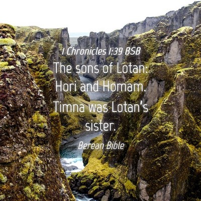 Picture 04 - 1 Chronicles 1:39 BSB - The sons of Lotan: Hori and Homam. Timna was - Bible Verse Picture