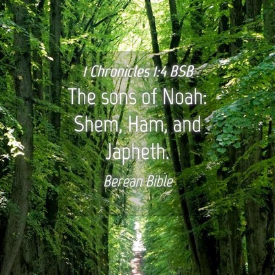 Picture 04 - 1 Chronicles 1:4 BSB - The sons of Noah: Shem, Ham, and - Bible Verse Picture