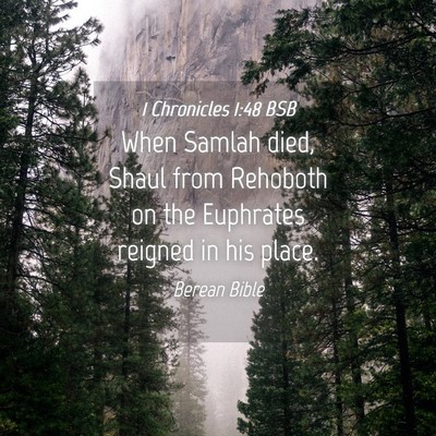 Picture 04 - 1 Chronicles 1:48 BSB - When Samlah died, Shaul from Rehoboth on the - Bible Verse Picture