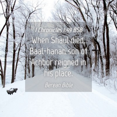 Picture 04 - 1 Chronicles 1:49 BSB - When Shaul died, Baal-hanan son of Achbor reigned - Bible Verse Picture