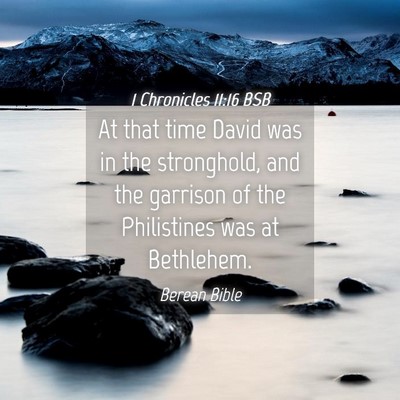 Picture 04 - 1 Chronicles 11:16 BSB - At that time David was in the stronghold, and the - Bible Verse Picture