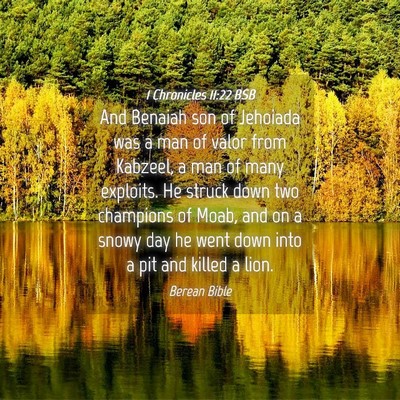 Picture 04 - 1 Chronicles 11:22 BSB - And Benaiah son of Jehoiada was a man of valor - Bible Verse Picture