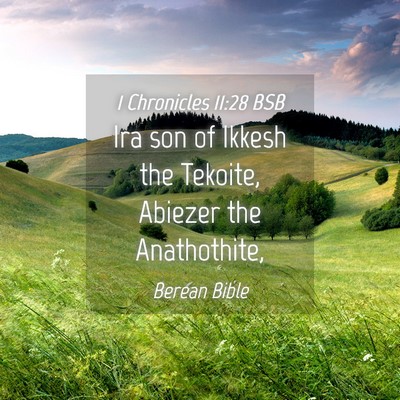 Picture 04 - 1 Chronicles 11:28 BSB - Ira son of Ikkesh the Tekoite, Abiezer the - Bible Verse Picture