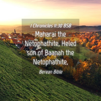 Picture 04 - 1 Chronicles 11:30 BSB - Maharai the Netophathite, Heled son of Baanah the - Bible Verse Picture