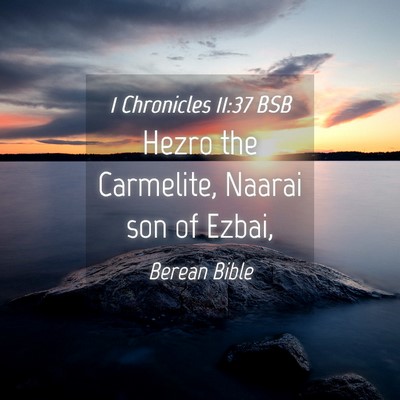Picture 04 - 1 Chronicles 11:37 BSB - Hezro the Carmelite, Naarai son of - Bible Verse Picture