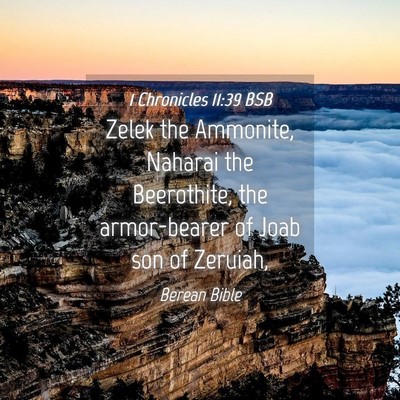 Picture 04 - 1 Chronicles 11:39 BSB - Zelek the Ammonite, Naharai the Beerothite, the - Bible Verse Picture