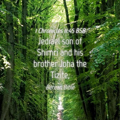 Picture 04 - 1 Chronicles 11:45 BSB - Jediael son of Shimri and his brother Joha the - Bible Verse Picture