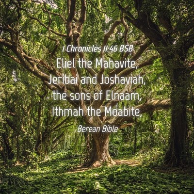 Picture 04 - 1 Chronicles 11:46 BSB - Eliel the Mahavite, Jeribai and Joshaviah, the - Bible Verse Picture