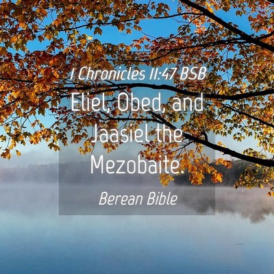 Picture 04 - 1 Chronicles 11:47 BSB - Eliel, Obed, and Jaasiel the - Bible Verse Picture
