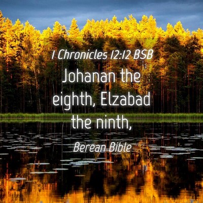 Picture 04 - 1 Chronicles 12:12 BSB - Johanan the eighth, Elzabad the - Bible Verse Picture