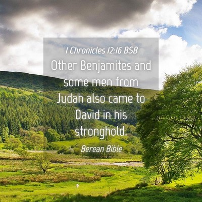 Picture 04 - 1 Chronicles 12:16 BSB - Other Benjamites and some men from Judah also - Bible Verse Picture