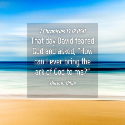 Picture 04 - 1 Chronicles 13:12 BSB - That day David feared God and asked, “How can I - Bible Verse Picture