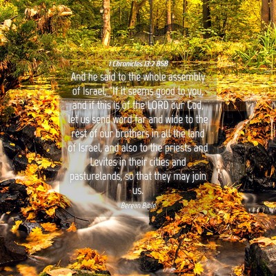 Picture 04 - 1 Chronicles 13:2 BSB - And he said to the whole assembly of Israel, - Bible Verse Picture