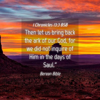 Picture 04 - 1 Chronicles 13:3 BSB - Then let us bring back the ark of our God, for we - Bible Verse Picture