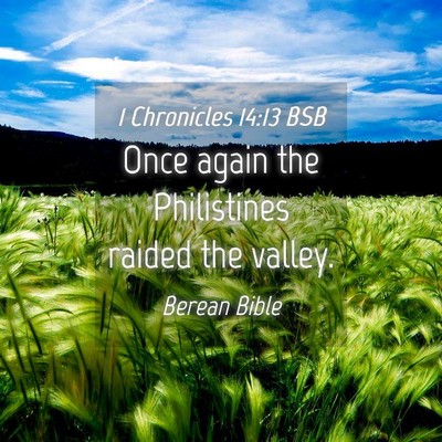 Picture 04 - 1 Chronicles 14:13 BSB - Once again the Philistines raided the - Bible Verse Picture