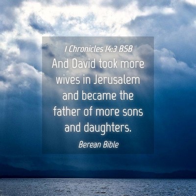 Picture 04 - 1 Chronicles 14:3 BSB - And David took more wives in Jerusalem and became - Bible Verse Picture