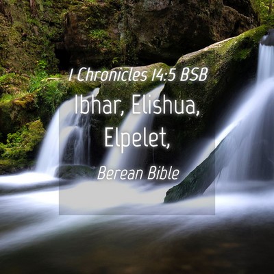 Picture 04 - 1 Chronicles 14:5 BSB - Ibhar, Elishua, - Bible Verse Picture