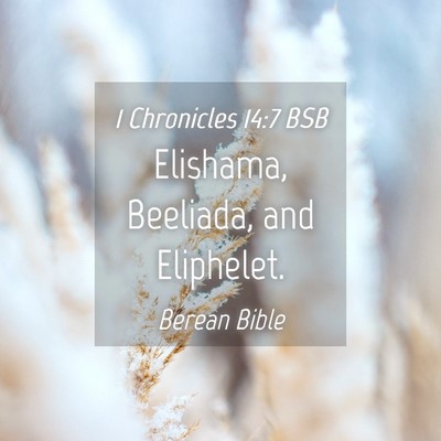 Picture 04 - 1 Chronicles 14:7 BSB - Elishama, Beeliada, and - Bible Verse Picture
