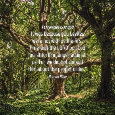 Picture 04 - 1 Chronicles 15:13 BSB - It was because you Levites were not with us the - Bible Verse Picture