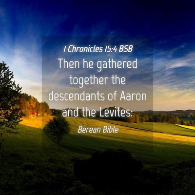 Picture 04 - 1 Chronicles 15:4 BSB - Then he gathered together the descendants of - Bible Verse Picture