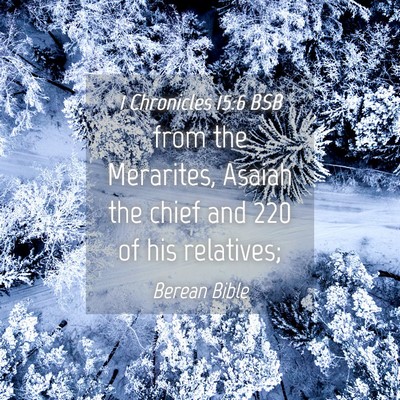 Picture 04 - 1 Chronicles 15:6 BSB - from the Merarites, Asaiah the chief and 220 of - Bible Verse Picture