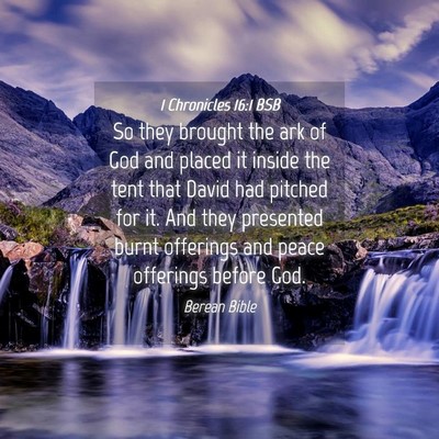 Picture 04 - 1 Chronicles 16:1 BSB - So they brought the ark of God and placed it - Bible Verse Picture