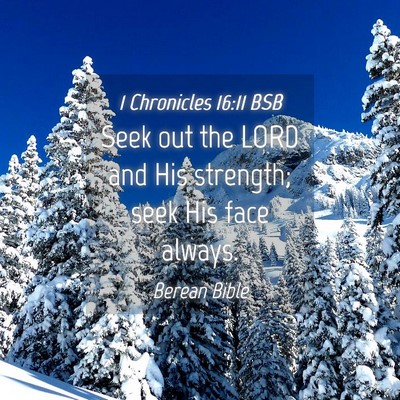 Picture 04 - 1 Chronicles 16:11 BSB - Seek out the LORD and His strength; seek His face - Bible Verse Picture