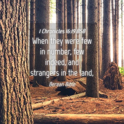 Picture 04 - 1 Chronicles 16:19 BSB - When they were few in number, few indeed, and - Bible Verse Picture