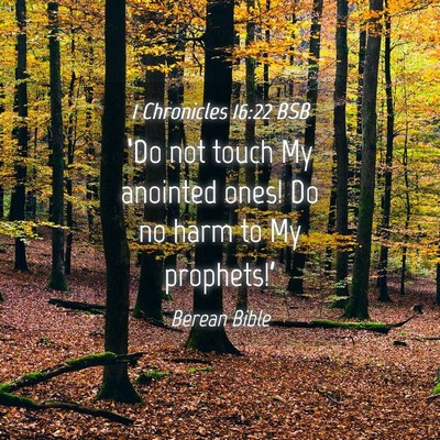 Picture 04 - 1 Chronicles 16:22 BSB - ‘Do not touch My anointed ones! Do no harm to - Bible Verse Picture
