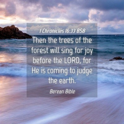 Picture 04 - 1 Chronicles 16:33 BSB - Then the trees of the forest will sing for joy - Bible Verse Picture