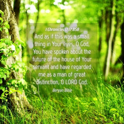 Picture 04 - 1 Chronicles 17:17 BSB - And as if this was a small thing in Your eyes, O - Bible Verse Picture