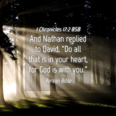 Picture 04 - 1 Chronicles 17:2 BSB - And Nathan replied to David, “Do all that is in - Bible Verse Picture