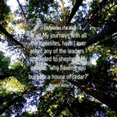 Picture 04 - 1 Chronicles 17:6 BSB - In all My journeys with all the Israelites, have - Bible Verse Picture