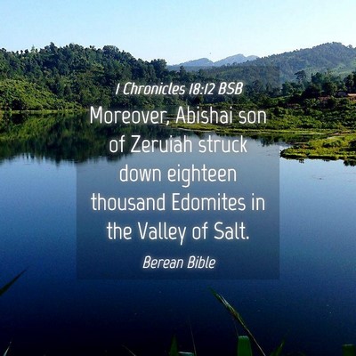 Picture 04 - 1 Chronicles 18:12 BSB - Moreover, Abishai son of Zeruiah struck down - Bible Verse Picture